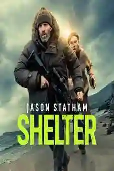 Shelter 2026 latest